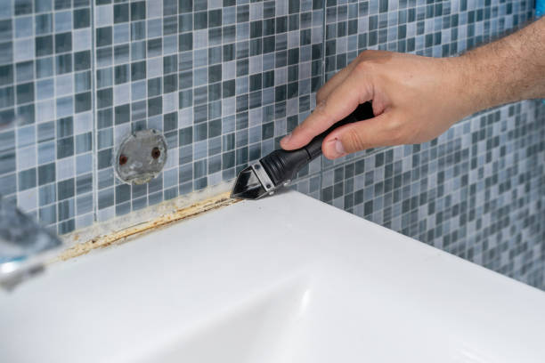 Best Same-Day Mold Removal  in Mauldin, SC